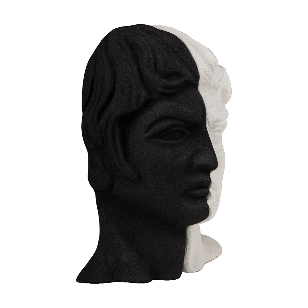 Modern bookends set with a man's face split in half, black and white color in a plain background.